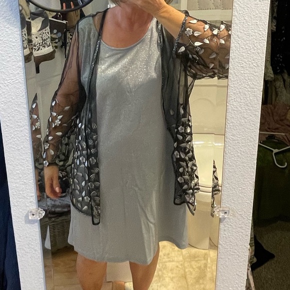 2pc Size Me Up 1X silver sparkle sheath dress and sheer black jacket embroidered - Picture 13 of 14